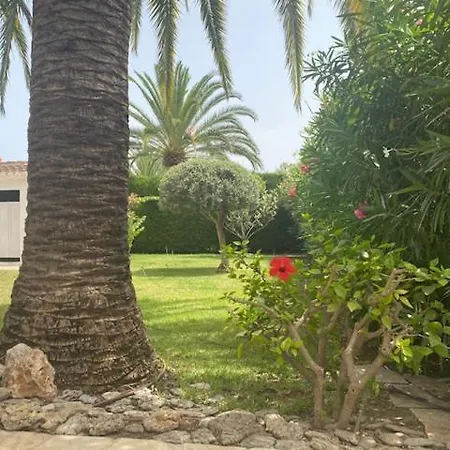 Villa Palmera Playa Almadrava *