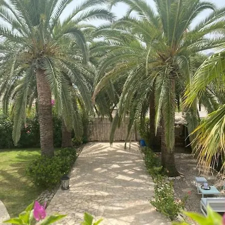 Vila Palmera Playa Almadrava, Els Poblets ,