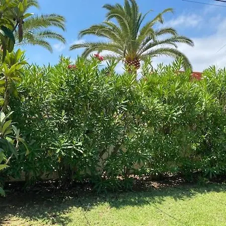 Vila Palmera Playa Almadrava, Els Poblets , *